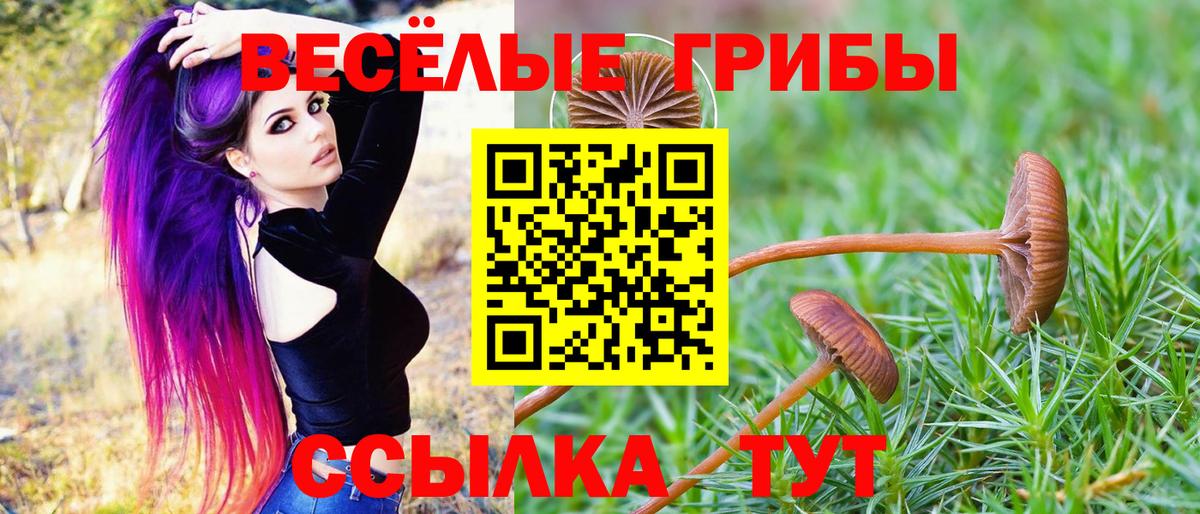 Камень-на-Оби  Галлюциногенные грибы Magic Shrooms  Вход с VPN 